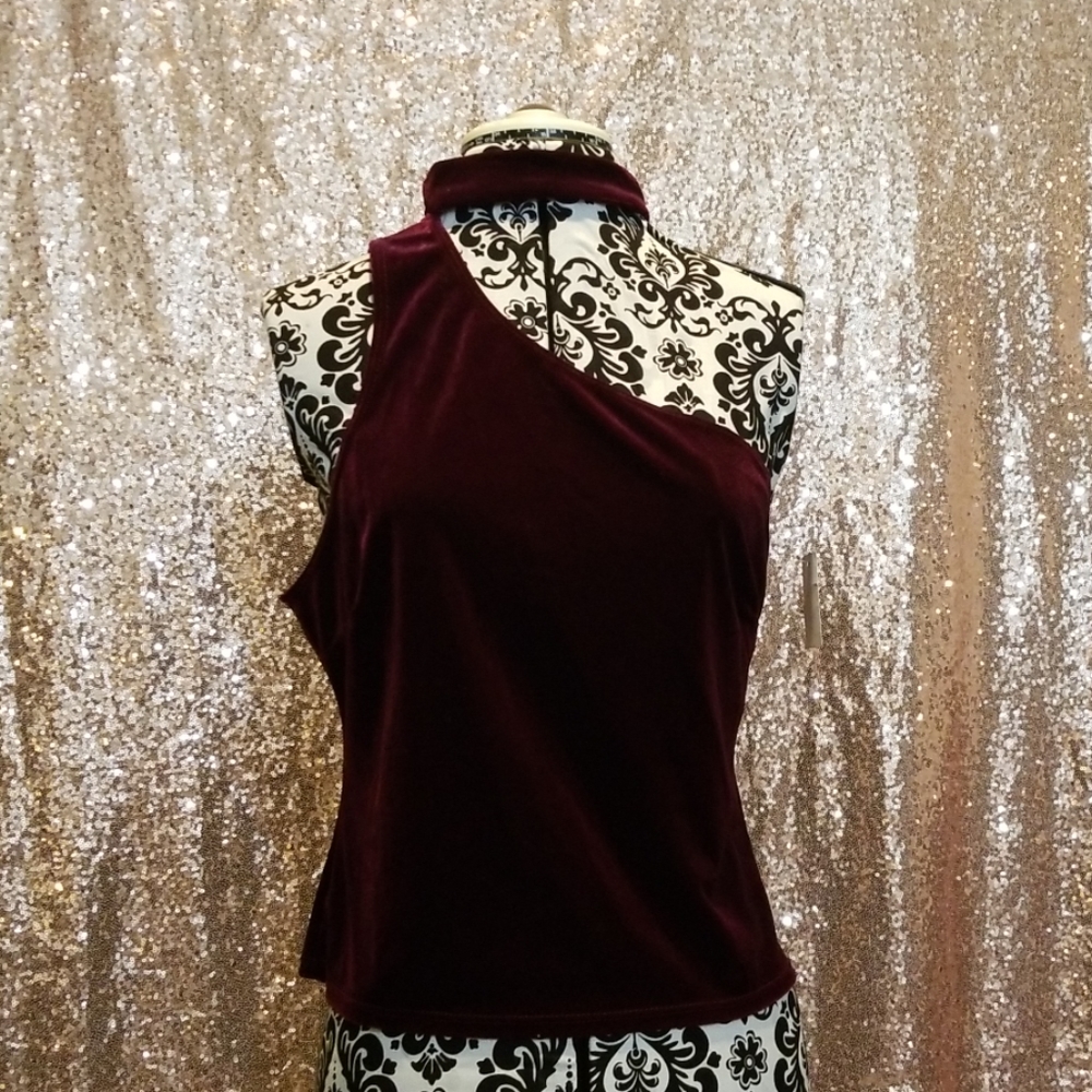 Velvet, wine colored crop top